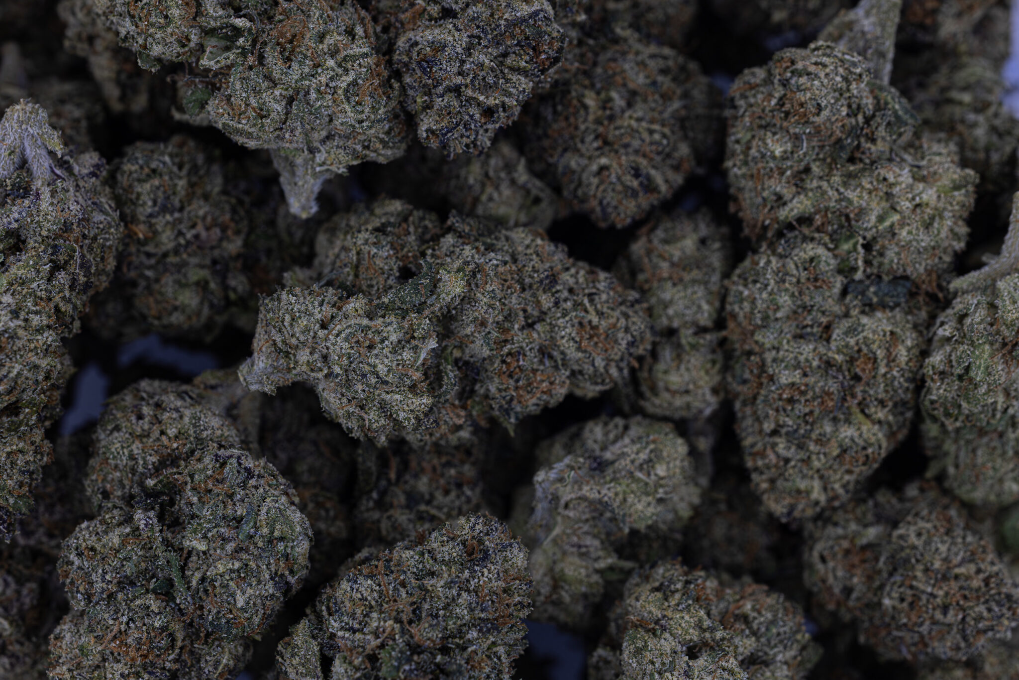 JACK-FLASH-IN-HOUSE-FLOWER-28G-OBAMA-RUNTZX-2